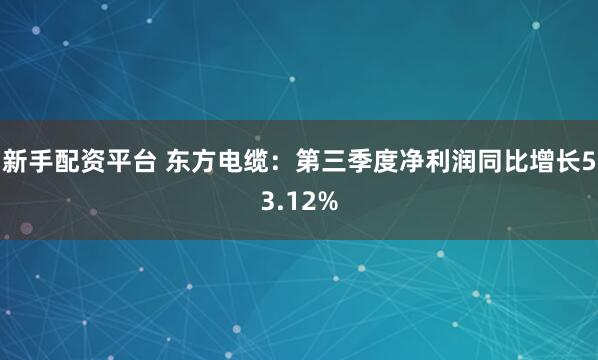 新手配资平台 东方电缆：第三季度净利润同比增长53.12%