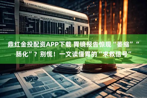 鼎红金投配资APP下载 胃镜报告惊现“萎缩”“肠化”?别慌!一文读懂胃的“求救信号”