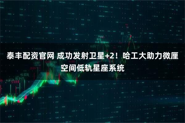泰丰配资官网 成功发射卫星+2！哈工大助力微厘空间低轨星座系统
